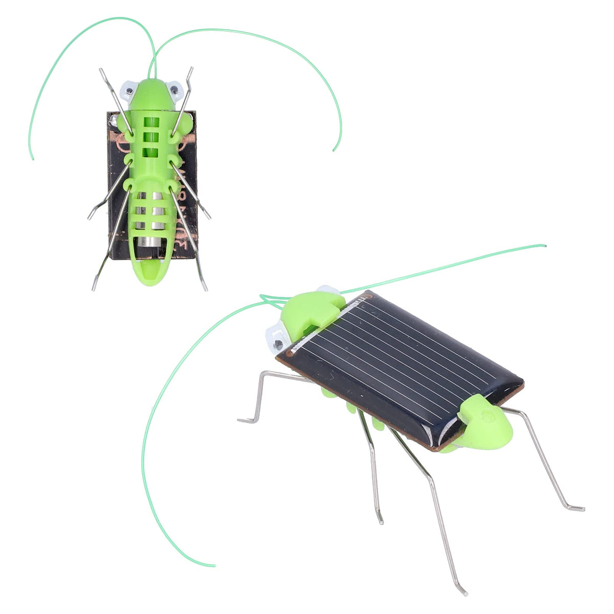 Solar Grasshopper Toy – Educational Solar Powered Insect Model for STEM Learning, Green Energy Demonstrations and Fun Play