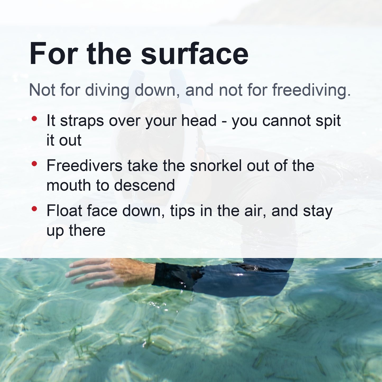 Adult Front Snorkel - Over-the-Head Swim Snorkel with Splash Guard, for Surface Snorkeling