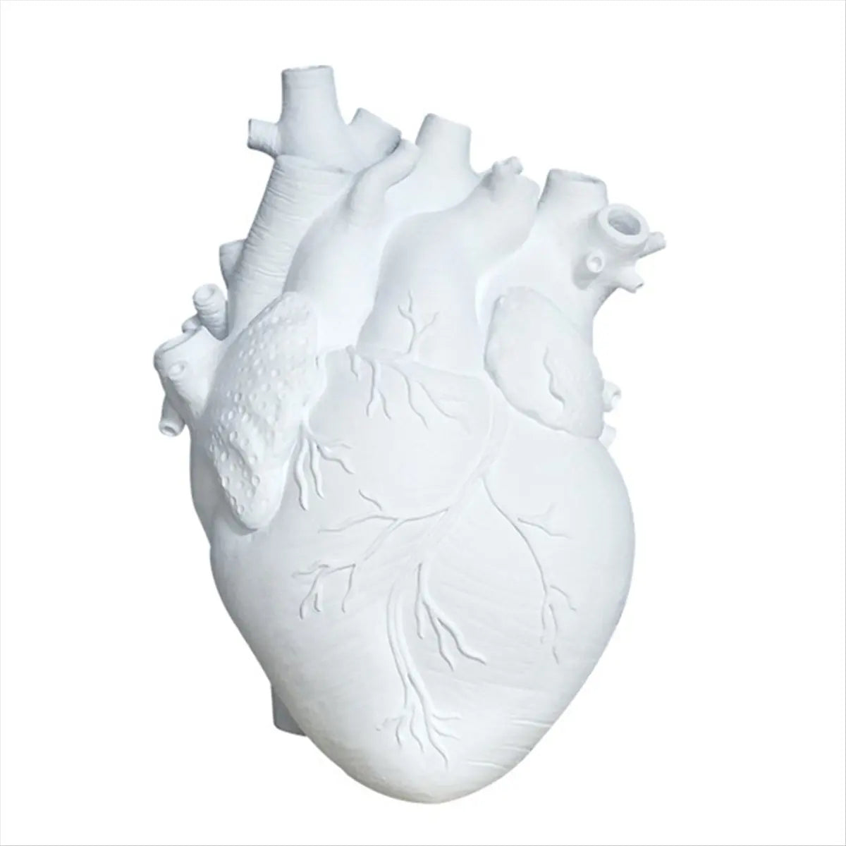 Anatomical Heart Flower Vase - Creative Resin Heart Shaped Planter for Desktop Decor, Gothic Displays and Unique Gifts