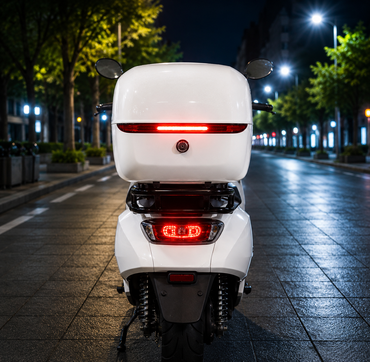 Electric Scooter Rear Storage Box – Universal Large-Capacity Waterproof Tail Trunk with Backrest for Yadea, Emma and Electric Bike Commuting
