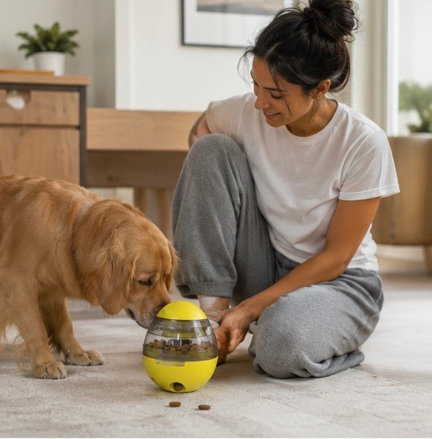 Interactive Dog Treat Ball - Slow Feeder Tumbler Puzzle Toy for Mental Stimulation, Enrichment and Healthy Pet Feeding