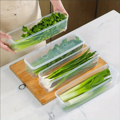 Refrigerator Storage Containers – Sealed Plastic Fresh-Keeping Boxes with Lids for Eggs, Noodles, Scallions, Cilantro and Organized Kitchen Storage