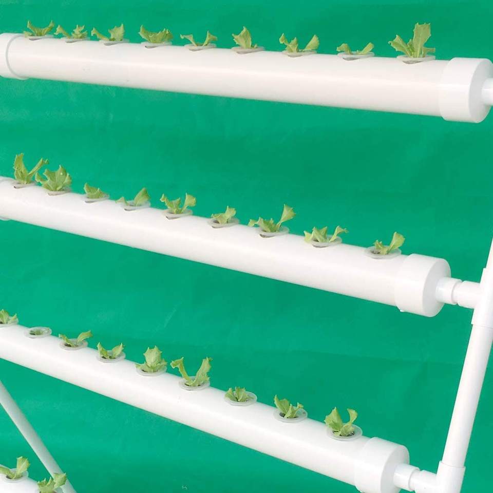 NFT Hydroponic Grow Kit – 36-Hole Indoor Greenhouse Planting Box Gardening System with Nursery Pots and Vertical Growing Rack