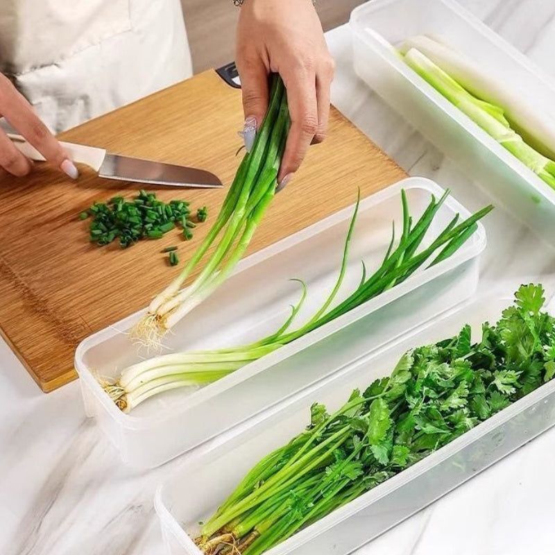 Refrigerator Storage Containers – Sealed Plastic Fresh-Keeping Boxes with Lids for Eggs, Noodles, Scallions, Cilantro and Organized Kitchen Storage
