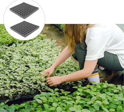 Hydroponic Grow Sponge Set – 100-PieceSoilless Seedling Plugs for Nursery Trays, Vegetable Propagation, Indoor Gardens and Reliable Seed Starting