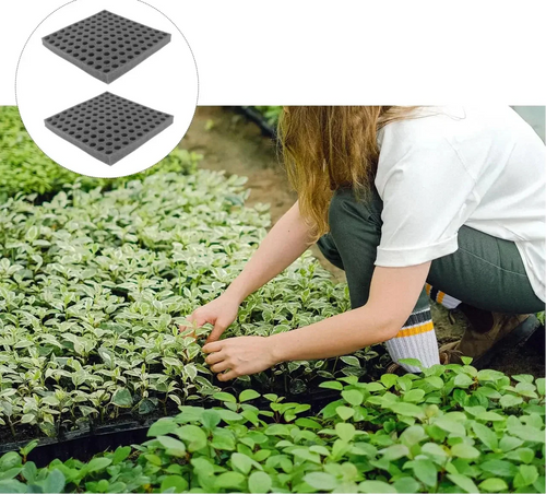 Hydroponic Grow Sponge Set – 100-PieceSoilless Seedling Plugs for Nursery Trays, Vegetable Propagation, Indoor Gardens and Reliable Seed Starting