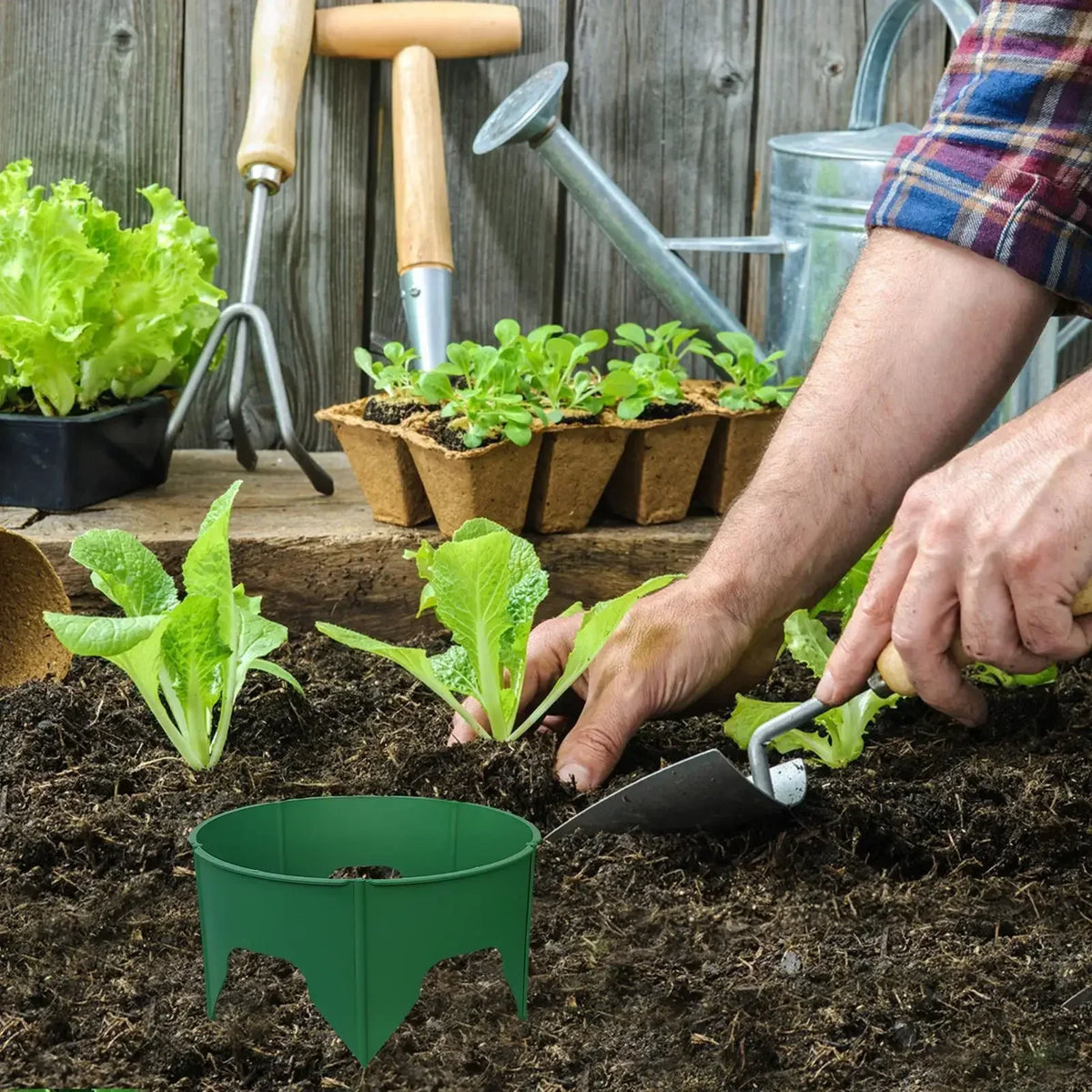 Round Deep-Watering Plant Rings – Plastic Garden Edging for Root Support, Pest Barrier Protection, Focused Irrigation and Cleaner Landscape Planting