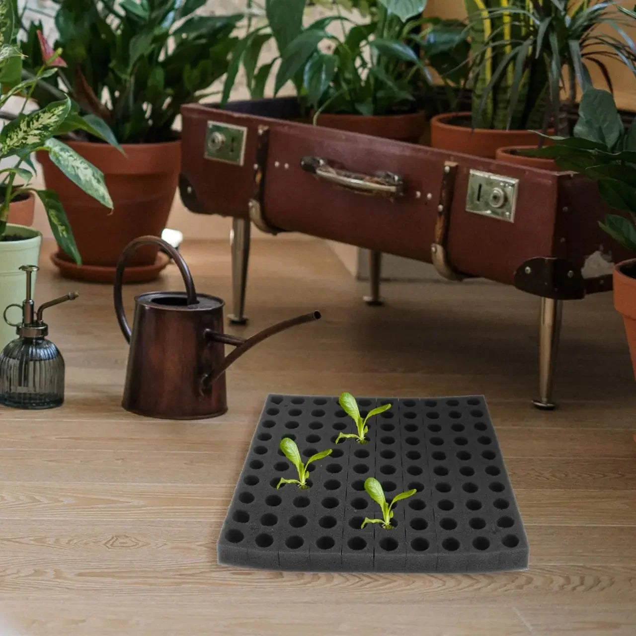 Hydroponic Grow Sponge Set – 100-PieceSoilless Seedling Plugs for Nursery Trays, Vegetable Propagation, Indoor Gardens and Reliable Seed Starting