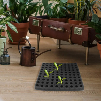 Hydroponic Grow Sponge Set – 100-PieceSoilless Seedling Plugs for Nursery Trays, Vegetable Propagation, Indoor Gardens and Reliable Seed Starting