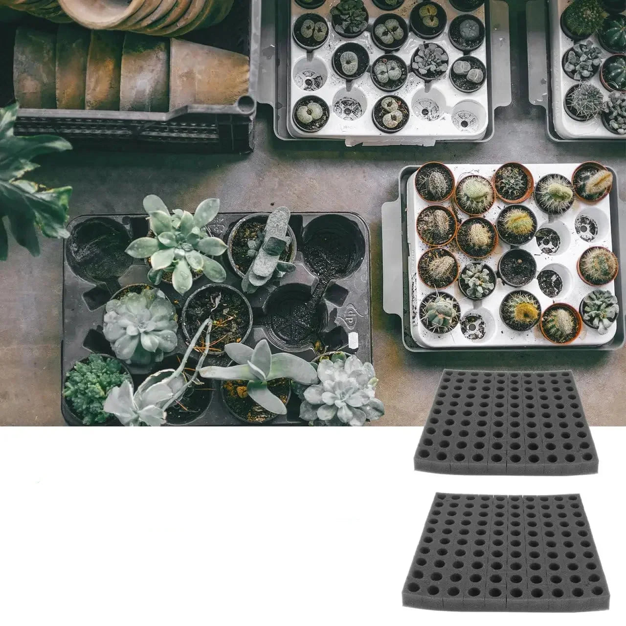 Hydroponic Grow Sponge Set – 100-PieceSoilless Seedling Plugs for Nursery Trays, Vegetable Propagation, Indoor Gardens and Reliable Seed Starting