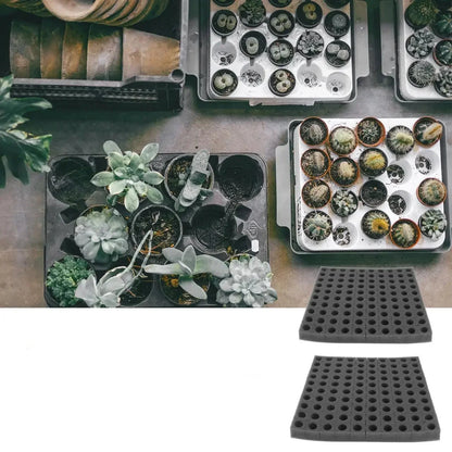 Hydroponic Grow Sponge Set – 100-PieceSoilless Seedling Plugs for Nursery Trays, Vegetable Propagation, Indoor Gardens and Reliable Seed Starting