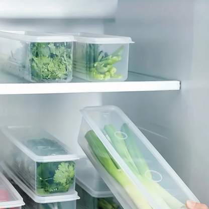 Refrigerator Storage Containers – Sealed Plastic Fresh-Keeping Boxes with Lids for Eggs, Noodles, Scallions, Cilantro and Organized Kitchen Storage