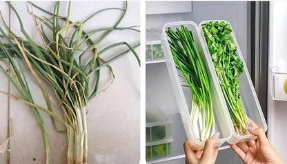 Refrigerator Storage Containers – Sealed Plastic Fresh-Keeping Boxes with Lids for Eggs, Noodles, Scallions, Cilantro and Organized Kitchen Storage
