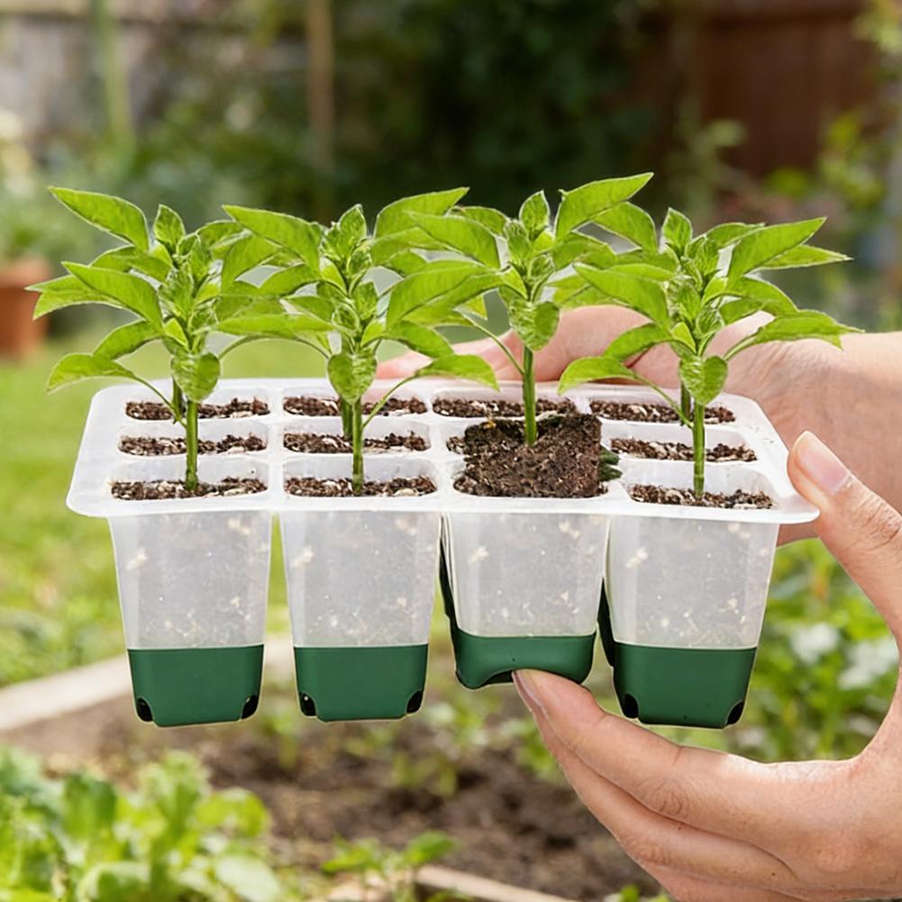 Seedling Starter Tray –12-Cell Indoor Germination Box with Transparent Cover and Adjustable Humidity for Greenhouse Seeds, Vegetables and Healthy Plant Growth