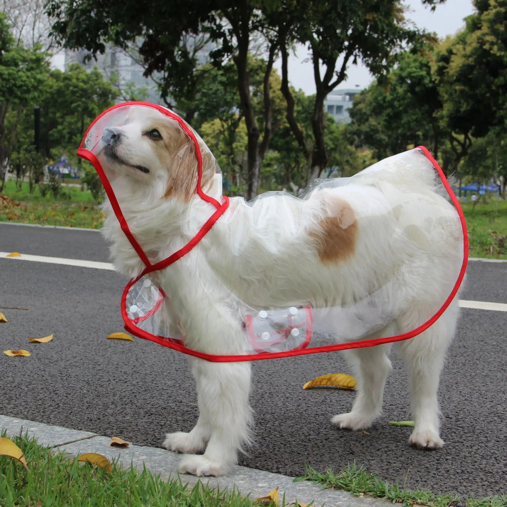 Transparent Hooded Pet Raincoat - Waterproof Puppy and Dog Rainwear Jacket for Outdoor Walks, Travel and All-Weather Protection