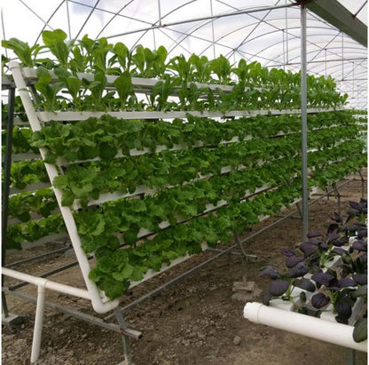 NFT Hydroponic Grow Kit – 36-Hole Indoor Greenhouse Planting Box Gardening System with Nursery Pots and Vertical Growing Rack