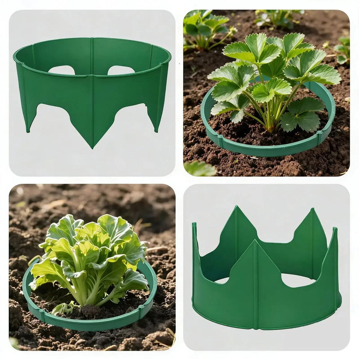 Round Deep-Watering Plant Rings – Plastic Garden Edging for Root Support, Pest Barrier Protection, Focused Irrigation and Cleaner Landscape Planting