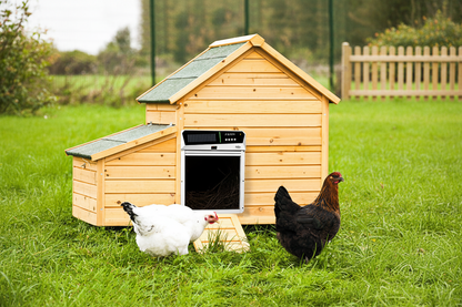 Solar Automatic Chicken Coop Door – Intelligent Light-Sensing Roller Shutter with Power Storage for Convenient Poultry Access, Night Security and Hands-Free Operation