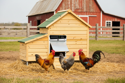 Solar Automatic Chicken Coop Door – Intelligent Light-Sensing Roller Shutter with Power Storage for Convenient Poultry Access, Night Security and Hands-Free Operation