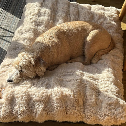 Ultra Plush Dog Bed – Soft Washable Pet Cushion Mattress for Large Dogs, Crates and Comfortable Sleep