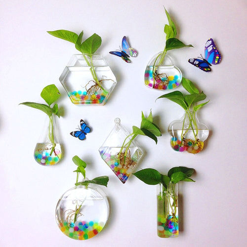 Wall Hanging Glass Vase – Hydroponic Plant Terrarium Planter for Flowers, Home Decor and Modern Garden Displays