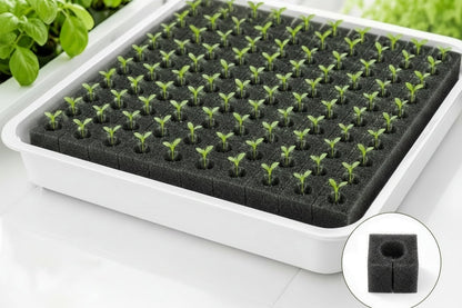 Hydroponic Grow Sponge Set – 100-PieceSoilless Seedling Plugs for Nursery Trays, Vegetable Propagation, Indoor Gardens and Reliable Seed Starting