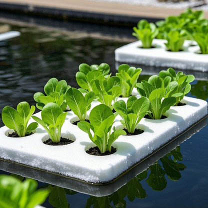 Hydroponic Planting Board – 24-Hole Floating Grow Raft for Fish Ponds, Balcony Gardens, Greenhouses, Soilless Vegetable Cultivation