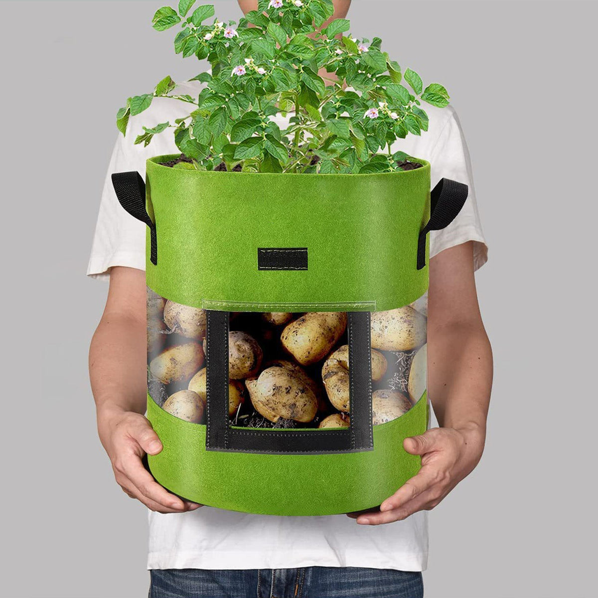 See-Through Potato Planter Bag – Breathable Non-Woven Grow Pot with 360° Transparent Window for Potatoes, Vegetables, Herbs and Easy Harvest Monitoring