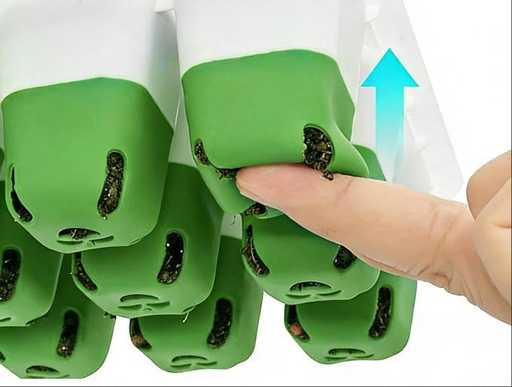 Seedling Starter Tray –12-Cell Indoor Germination Box with Transparent Cover and Adjustable Humidity for Greenhouse Seeds, Vegetables and Healthy Plant Growth