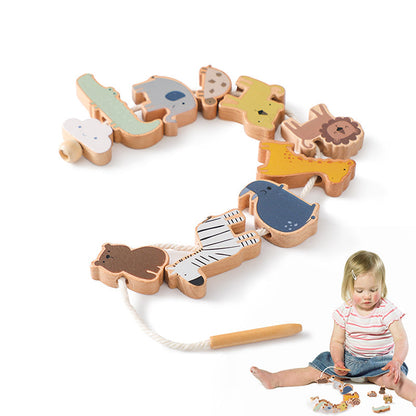 Montessori Animal Threading Toy-Wooden Fine Motor Skills Activity Set for Early Childhood Learning and Development