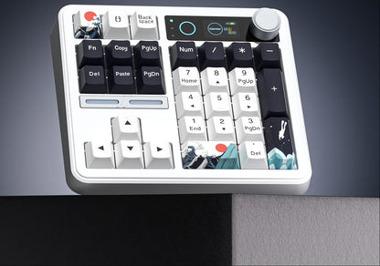 Wireless Mechanical Numpad Keyboard – Compact Gasket-Mount Numeric Keypad with Responsive Mechanical Switches for Gaming, Office and Productivity