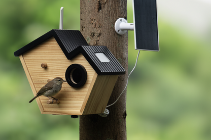 Wooden Bird Breeding House – Hanging Outdoor Nest Box for Small Birds with Viewing Window and Comfortable Shelter