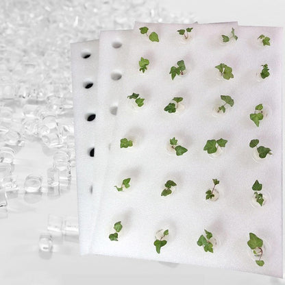 Hydroponic Planting Board – 24-Hole Floating Grow Raft for Fish Ponds, Balcony Gardens, Greenhouses, Soilless Vegetable Cultivation