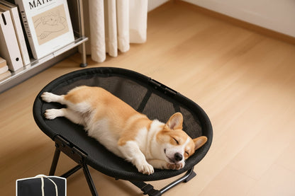 Foldable Elevated Pet Bed – Portable Breathable Mesh Cat and Dog Chair with Soft Flannel Cushion for Garden Outdoor and Travel