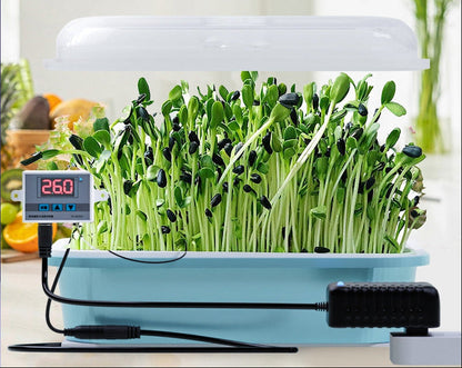 Thermostatic Seed Germination Box – Constant Temperature Nursery Pot Incubator for Wheatgrass, Vegetables, Sprouting Seeds, Indoor Gardening