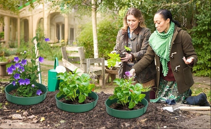 Plant Grow Protection Ring – Deep-Watering Circular Landscape Edging for Garden Beds, Root Care, Planting Support and Cleaner Organized Outdoor Growing