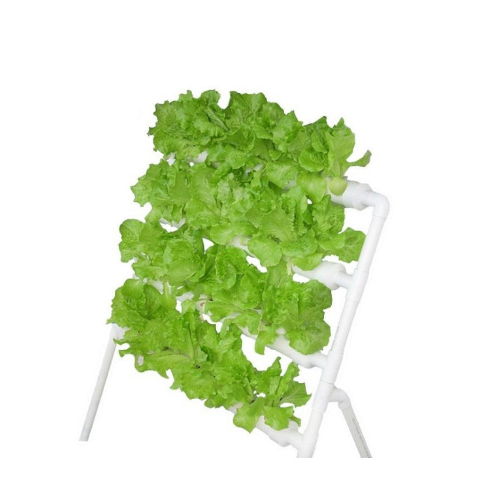 NFT Hydroponic Grow Kit – 36-Hole Indoor Greenhouse Planting Box Gardening System with Nursery Pots and Vertical Growing Rack