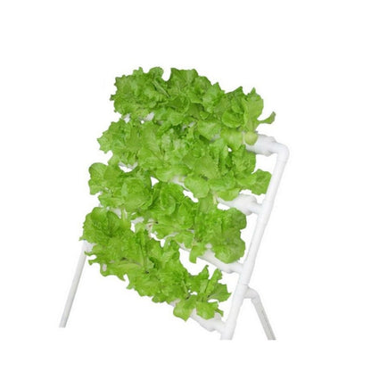 NFT Hydroponic Grow Kit – 36-Hole Indoor Greenhouse Planting Box Gardening System with Nursery Pots and Vertical Growing Rack