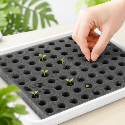 Hydroponic Grow Sponge Set – 100-PieceSoilless Seedling Plugs for Nursery Trays, Vegetable Propagation, Indoor Gardens and Reliable Seed Starting