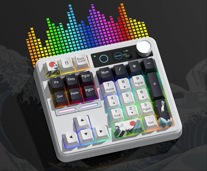 Wireless Mechanical Numpad Keyboard – Compact Gasket-Mount Numeric Keypad with Responsive Mechanical Switches for Gaming, Office and Productivity