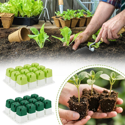 Seedling Starter Tray –12-Cell Indoor Germination Box with Transparent Cover and Adjustable Humidity for Greenhouse Seeds, Vegetables and Healthy Plant Growth