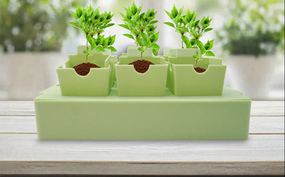 Reusable Seed Starting Tray – Germination and Transplant Nursery Tool with Labeling Features for Gardeners, Vegetables, Flowers and Indoor Seedlings
