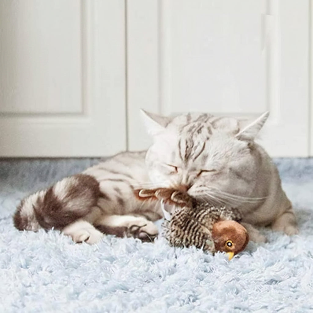 Interactive Electronic Cat Bird Toy – Automatic Chirping Feather Teaser for Indoor Cats Exercise and Mental Stimulation