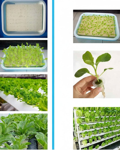 NFT Hydroponic Grow Kit – 36-Hole Indoor Greenhouse Planting Box Gardening System with Nursery Pots and Vertical Growing Rack