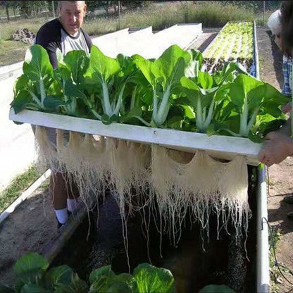 Hydroponic Planting Board – 24-Hole Floating Grow Raft for Fish Ponds, Balcony Gardens, Greenhouses, Soilless Vegetable Cultivation