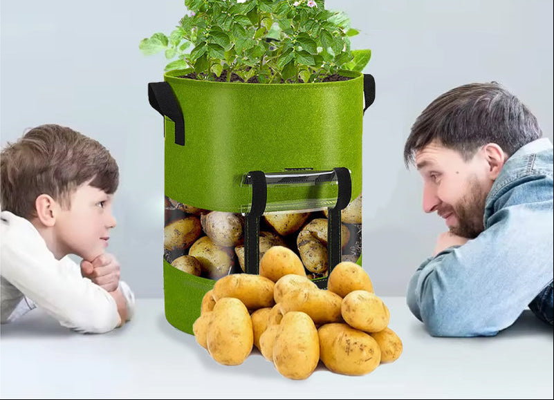 See-Through Potato Planter Bag – Breathable Non-Woven Grow Pot with 360° Transparent Window for Potatoes, Vegetables, Herbs and Easy Harvest Monitoring