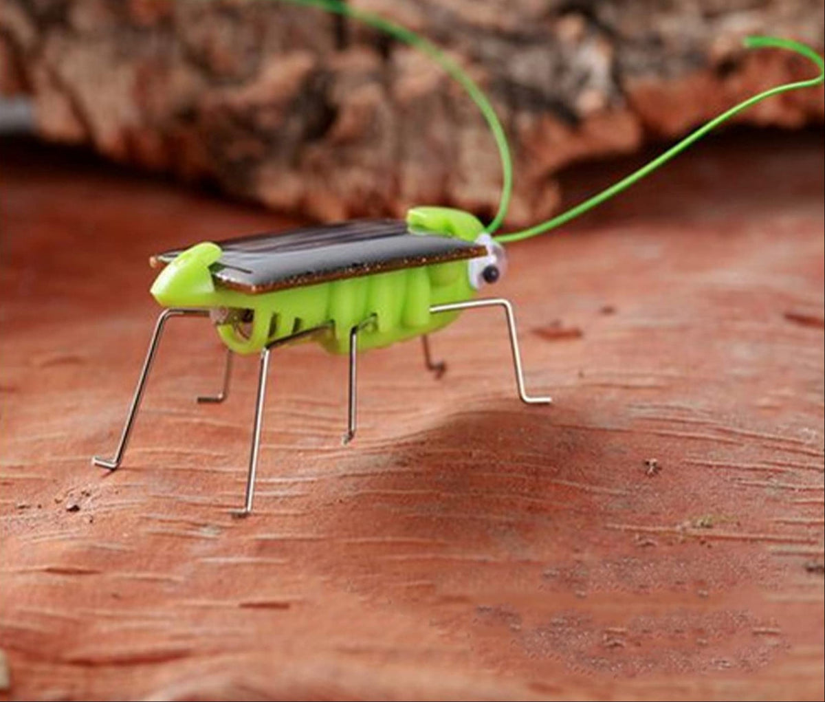 Solar Grasshopper Toy – Educational Solar Powered Insect Model for STEM Learning, Green Energy Demonstrations and Fun Play