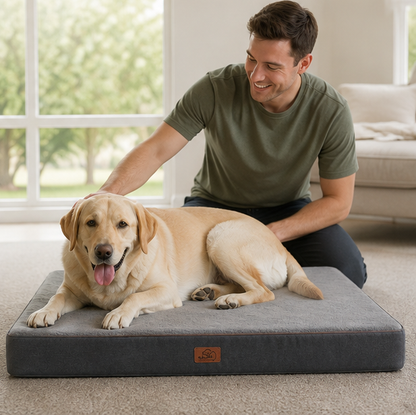 Orthopedic Memory Foam Dog Bed – Washable Large Pet Mattress with Non Slip Base for Joint Support