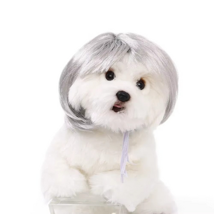 Pet Wig for Dogs & Cats – DIY Trimmable Curly or Straight Hair Costume Wig for Halloween, Parties, Photoshoots and Fun Pet Dress-Up