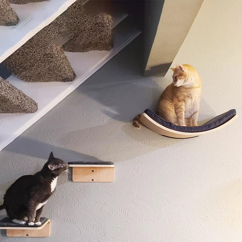 Wall-Mounted Cat Shelves – Curved Hammock Bed & Climbing Steps with Cushions for Sleeping, Playing, Climbing and Indoor Cat Furniture